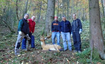 Remplacement des cibles animalières 3D