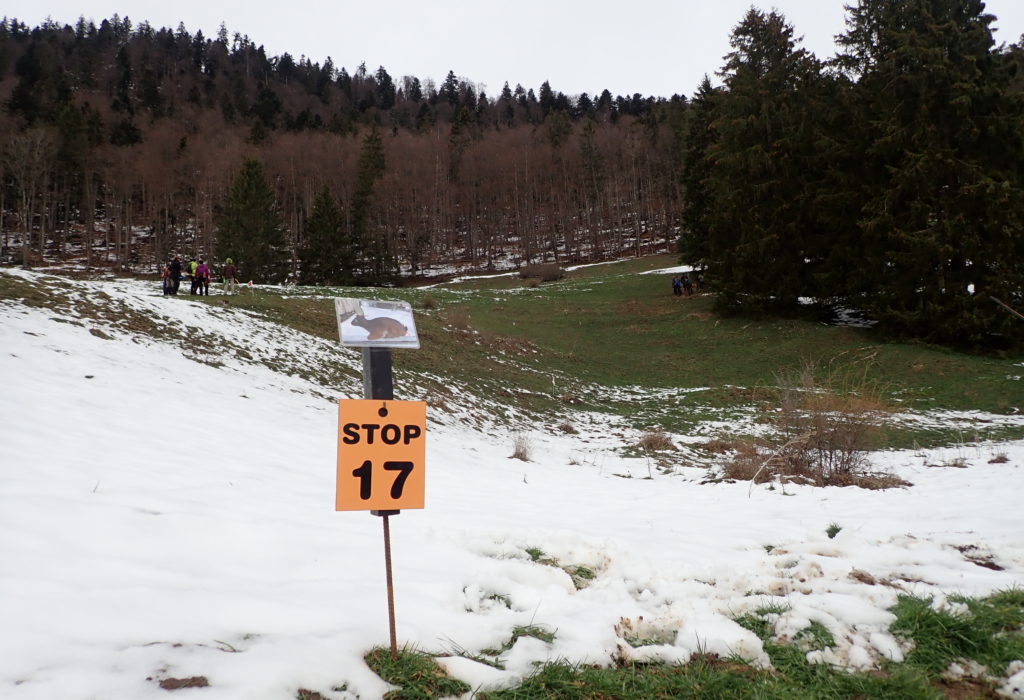 Concours de printemps au Fuet