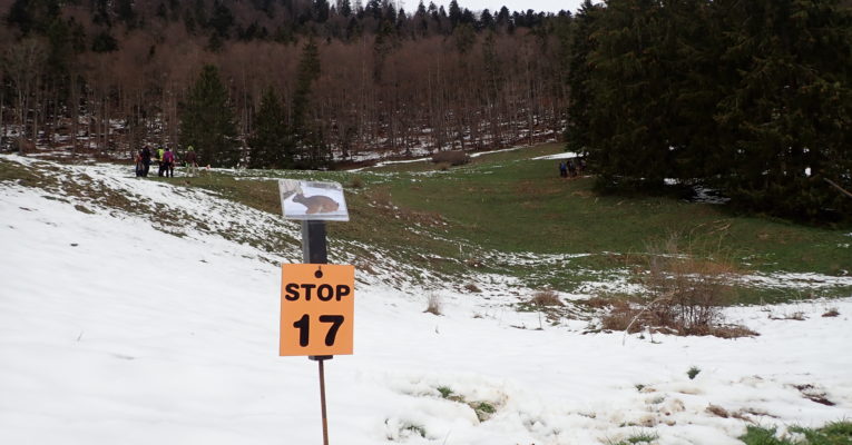 Concours de printemps au Fuet