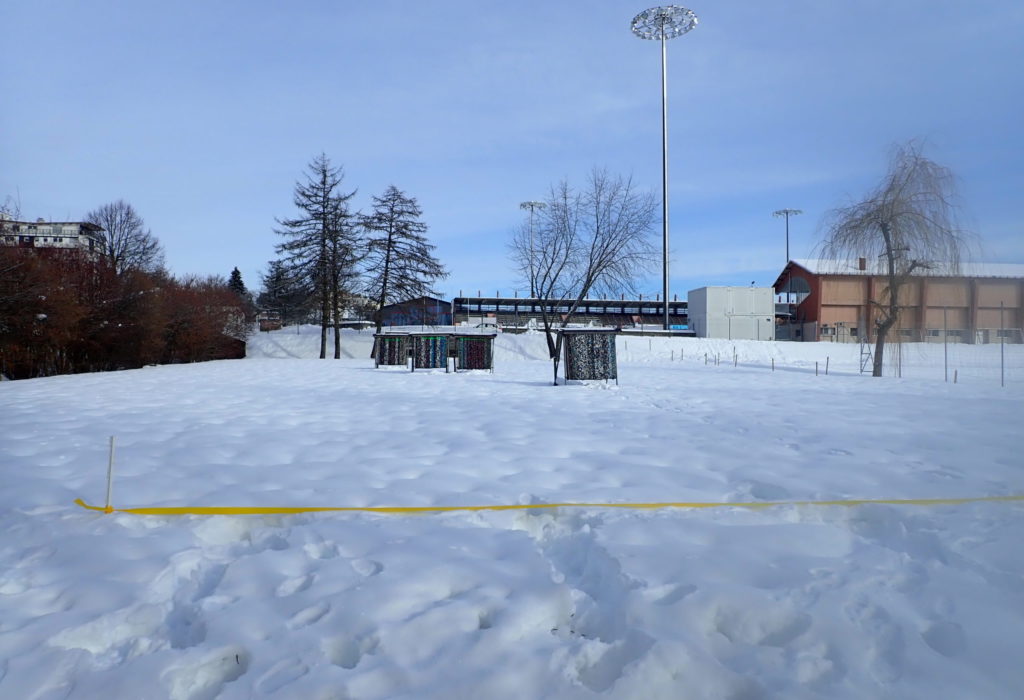 Entraînements enneigés