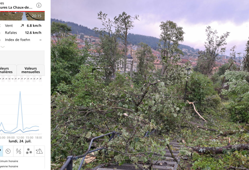 Entrainements en forêt suspendus