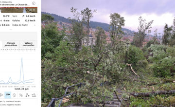 Entrainements en forêt suspendus