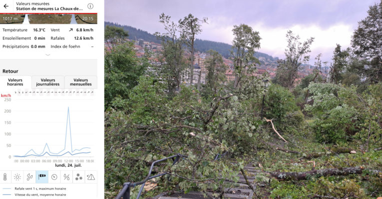 Entrainements en forêt suspendus