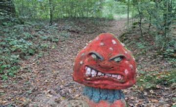 Excursion au Château de la Linotte