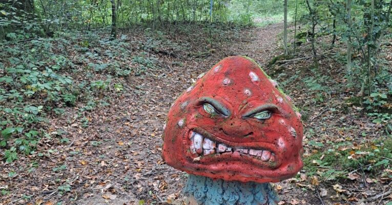 Excursion au Château de la Linotte