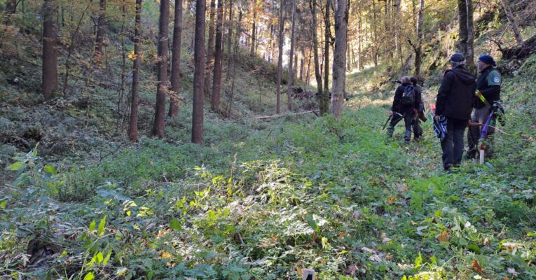 Concours 3D interne – première édition